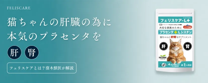 フェリスケアとは?窪木獣医師が解説|獣医師が処方するプラセンタサプリ