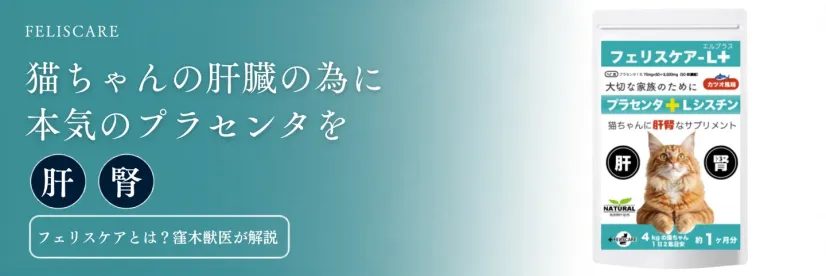 フェリスケアとは？窪木獣医師が解説｜獣医師が処方するプラセンタサプリ