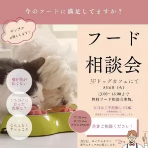 フード相談会開催のお知らせ🐕🐈のサムネイル