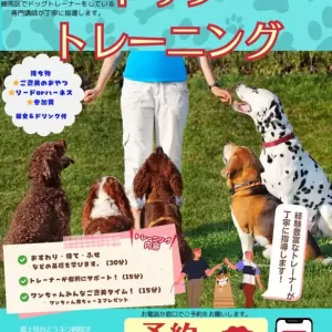 ドッグトレーニング開催！🐕のサムネイル