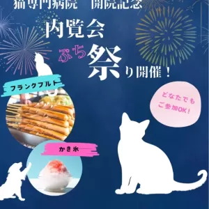 ねこの森🐱内覧会開催しますのサムネイル