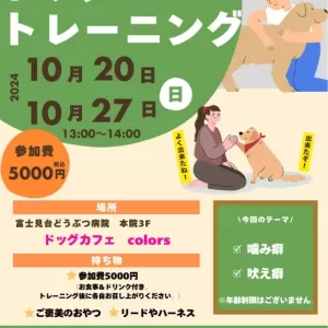 ドッグトレーニング開催のお知らせ🐕のサムネイル