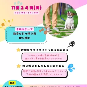しつけ教室開催🐶のサムネイル
