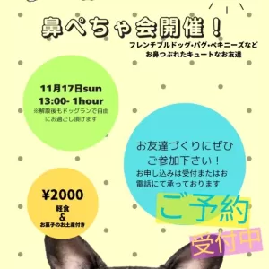 鼻ぺちゃ会開催！！🐶のサムネイル