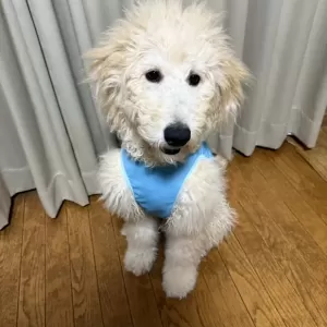るいるい日記👶のサムネイル