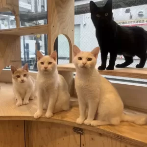 今年も残りわずか・・・のサムネイル