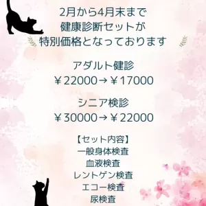 ねこちゃん限定健診キャンペーン🐈のサムネイル