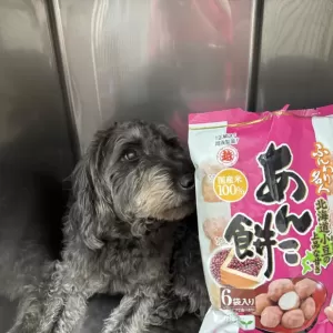 あんこ日記🐶のサムネイル