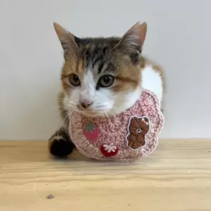 保護猫日記🐱のサムネイル