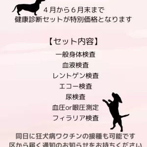 わんちゃん健診キャンペーン🐶✨のサムネイル