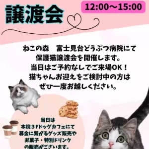 5月のおしらせ🌻のサムネイル