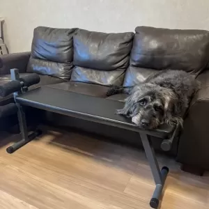 あんこ日記🐶のサムネイル