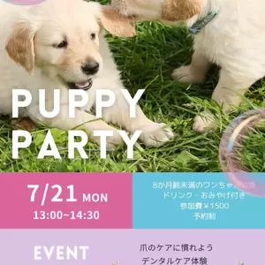 パピーパーティー開催🐶✨のサムネイル