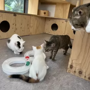 7月スタートしました🌞のサムネイル