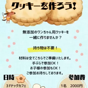 クッキー教室開催のおしらせ🍪のサムネイル