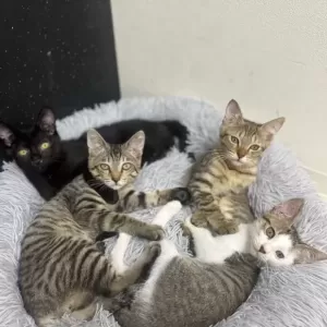 8月スタートしました🌟のサムネイル