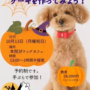 10月がスタートしました🍁のサムネイル