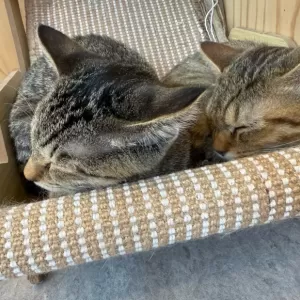 9月がスタートしました✨のサムネイル