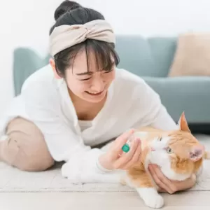 猫の目やにの取り方｜嫌がる猫への優しいケア方法のサムネイル
