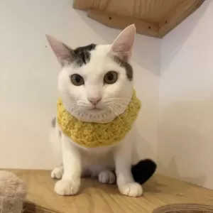 明日はいよいよ😻のサムネイル