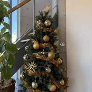 この季節が・・🎄のサムネイル