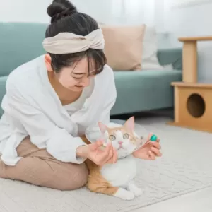 猫の毎日の目やにの原因と対策｜健康管理のポイントのサムネイル