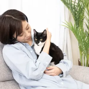 猫が耳を頻繁に振る理由と対処方法｜健康チェックの重要性のサムネイル