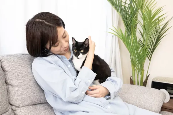 猫が耳を頻繁に振る理由と対処方法｜健康チェックの重要性