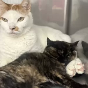 2月スタートしました🍫のサムネイル