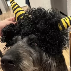 節分👹✨のサムネイル