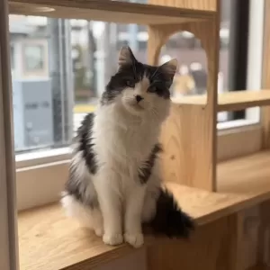 3月スタートしました🌷のサムネイル