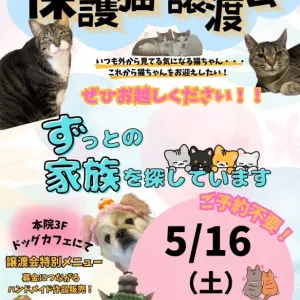 5月のお知らせ🌷のサムネイル