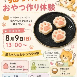 イベントのおしらせ🌟のサムネイル