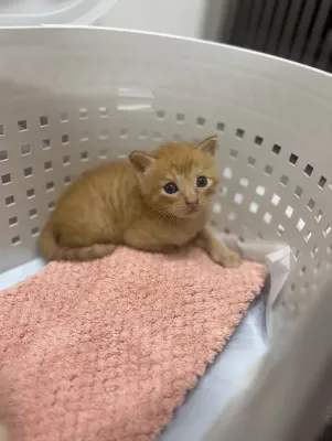 赤ちゃん🍼