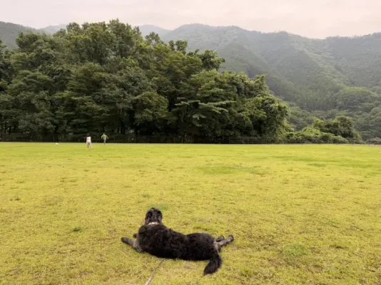 あんこ日記🐶