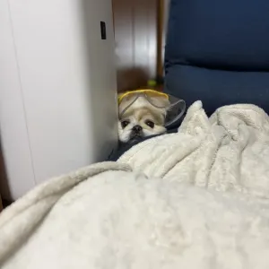 雨スタイルのサムネイル