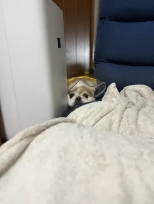雨スタイル