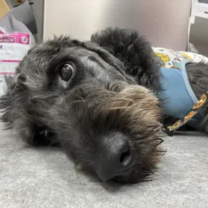 8月になりました🌻のサムネイル