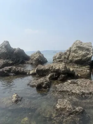 夏です