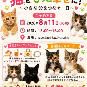 譲渡会開催します🐈✨のサムネイル