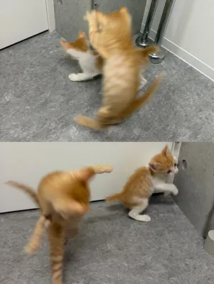 元気いっぱい！