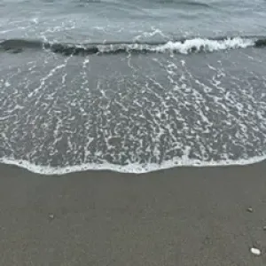 夏の思い出のサムネイル