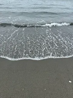 夏の思い出