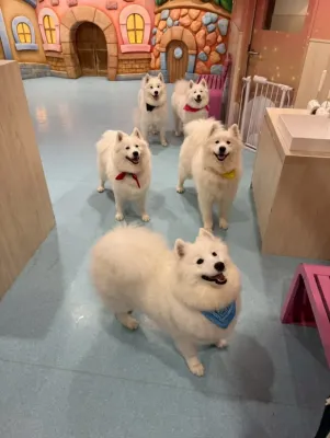 休日ブログ