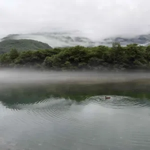 休日ブログのサムネイル