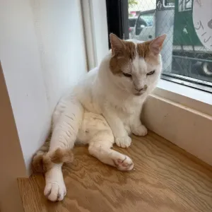 くすっと写真集のサムネイル