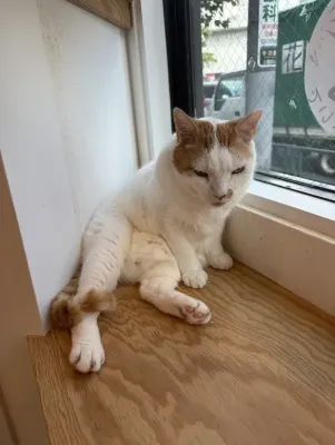 くすっと写真集