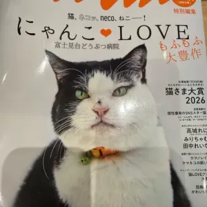 ananに掲載していただきました🐱✨のサムネイル