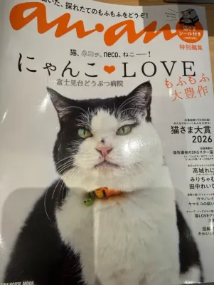 ananに掲載していただきました🐱✨