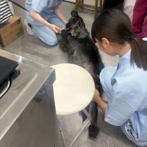 夏の実習🌞のサムネイル